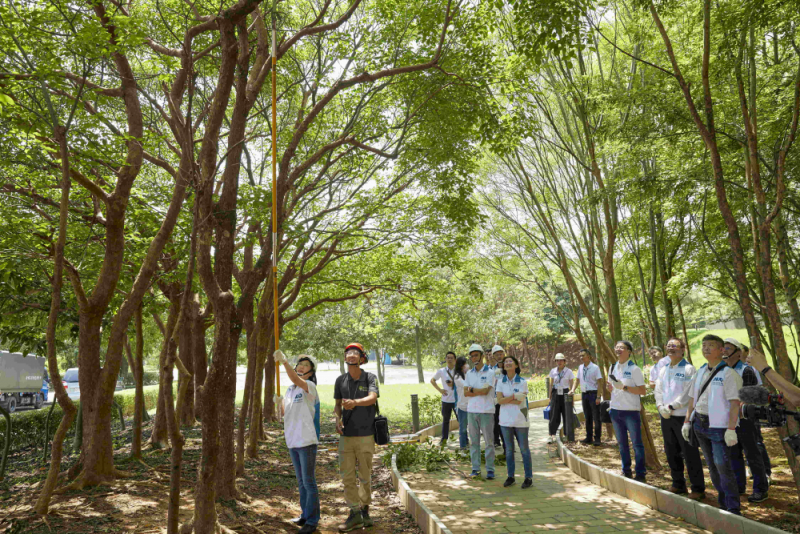 藝師教導大家認識樹木、檢查樹的健康狀況，學習修枝及碎枝覆土